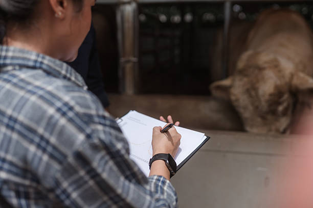 Phí xin giấy phép nhập khẩu sản phẩm động vật