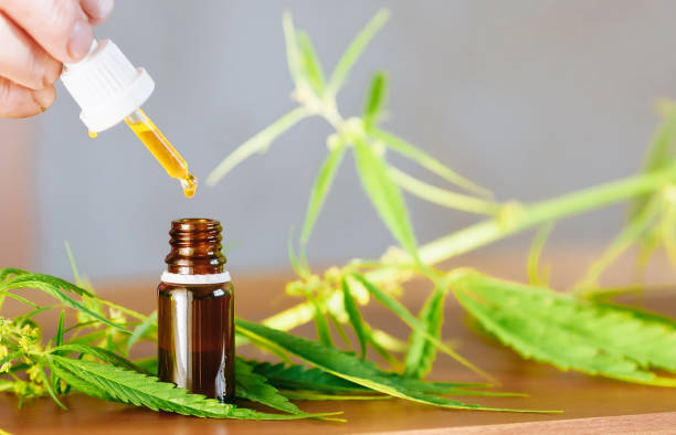 Công bố mỹ phẩm 