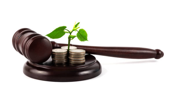 Phí xin giấy phép nhập khẩu sản phẩm thực vật