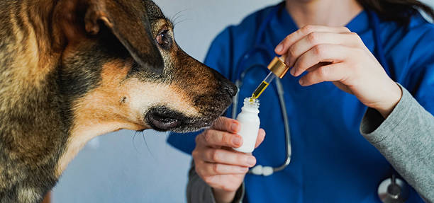 Phí xin chứng nhận cơ sở đủ điều kiện kinh doanh thuốc thú y, thủy sản