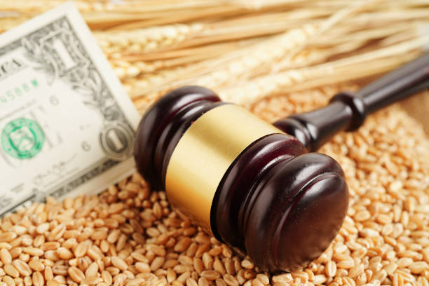 Phí công bố hợp quy thức ăn chăn nuôi , vật nuôi hoàn chỉnh