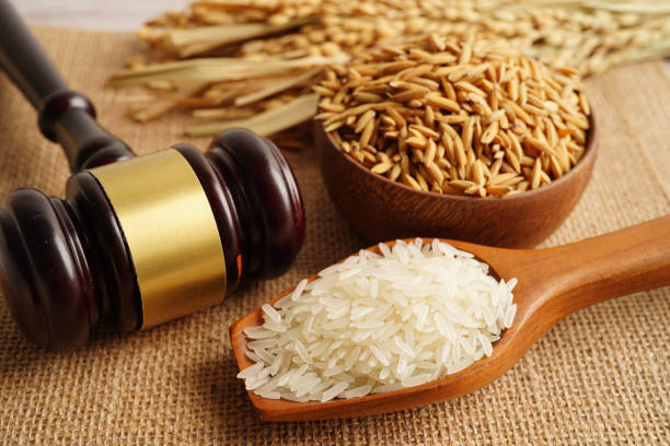 Công bố thực phẩm bảo vệ sức khỏe NHẬP KHẨU