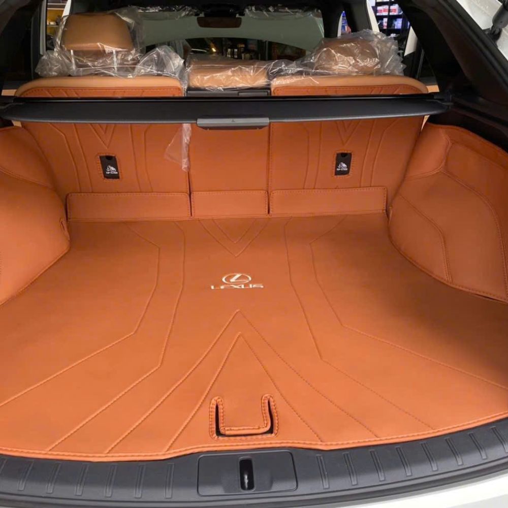 Thảm 360 Lexus RX 350 2025 - Image 9