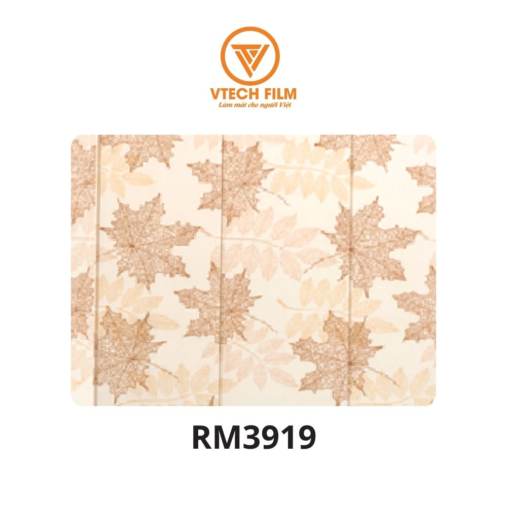 Roman Hoa Văn - Image 5